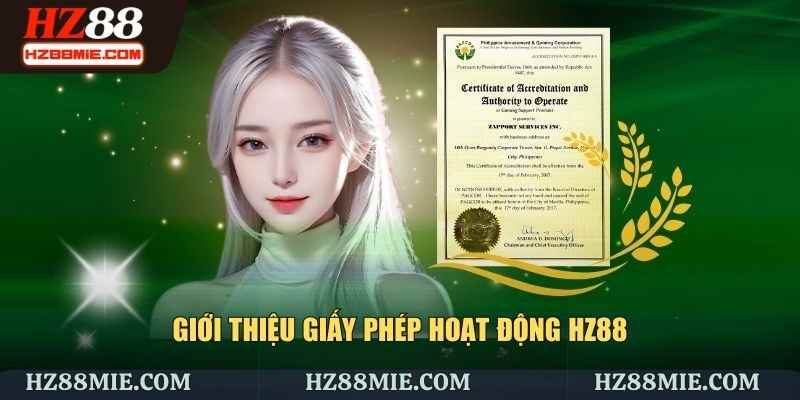 Giới thiệu về giấy phép hoạt động HZ88